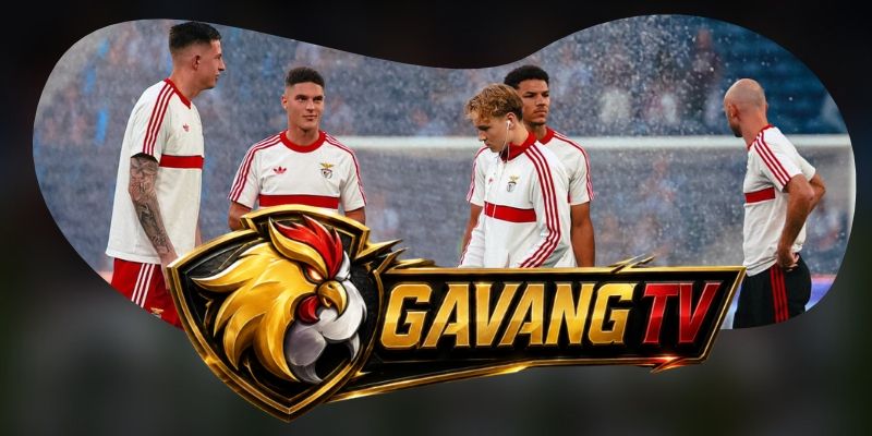 Tổng hợp dự đoán kèo Santa Clara vs Benfica ngày 27/10